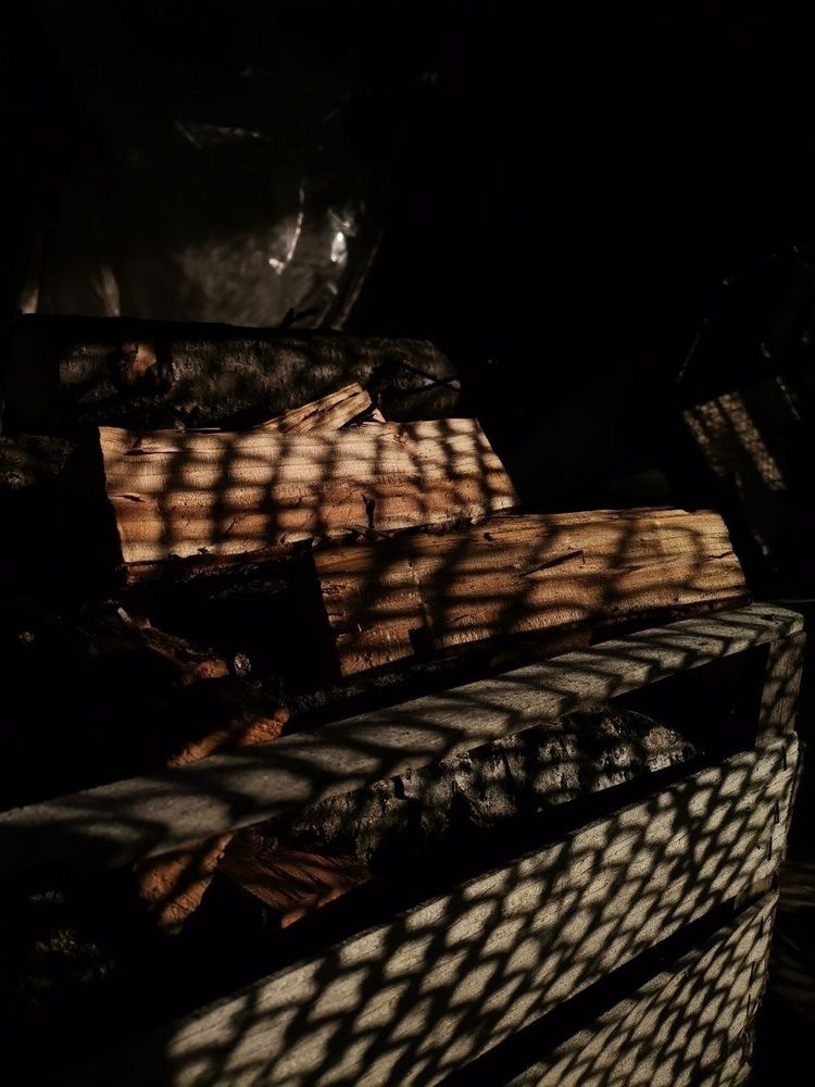 Photograph by Екатерина Романова