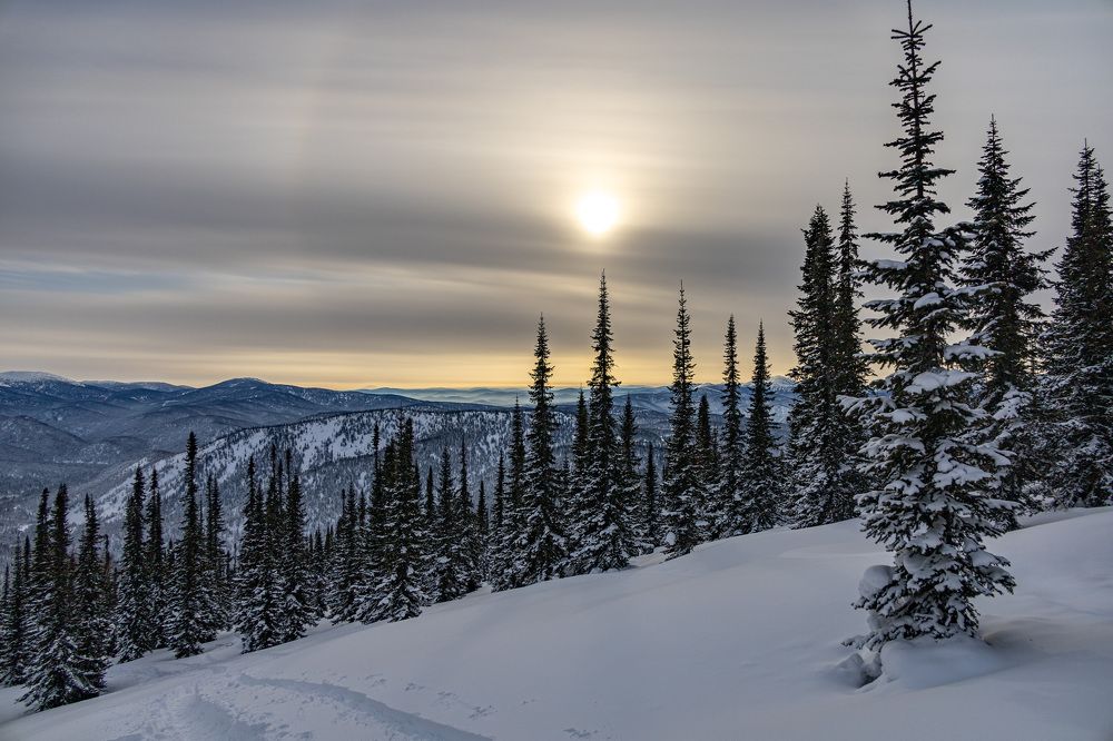 Photograph by Maria Boyko