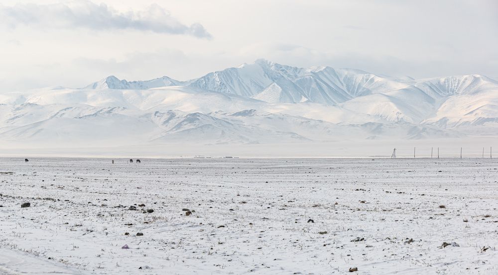 Photograph by Maria Boyko