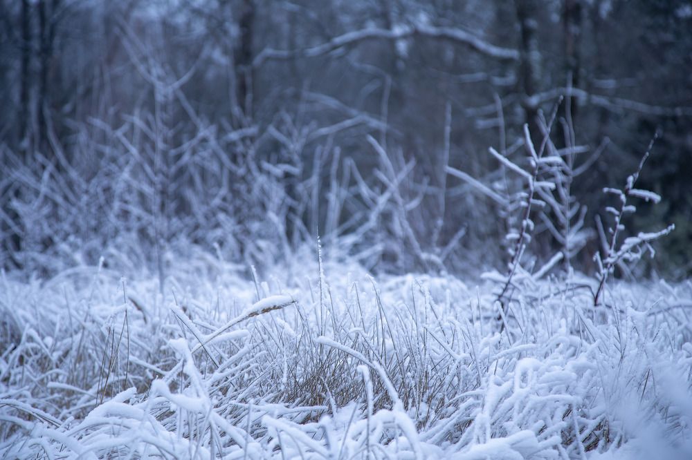 Photograph by Почечуй Андрей