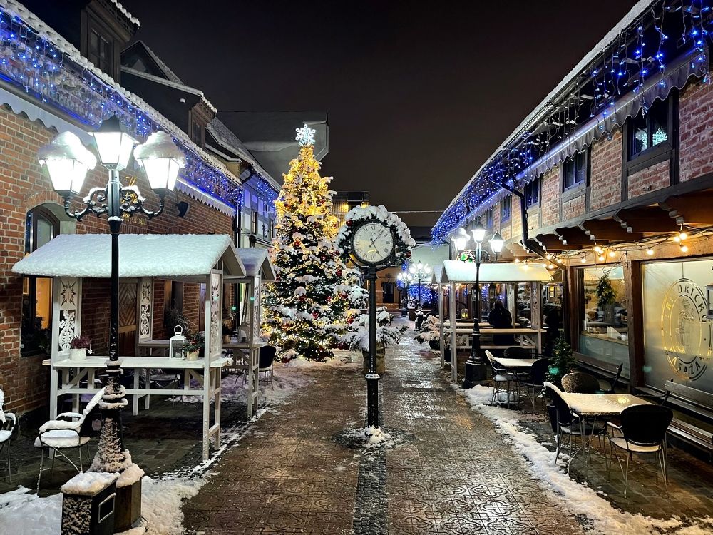 Photograph by Galina Baranovskaja