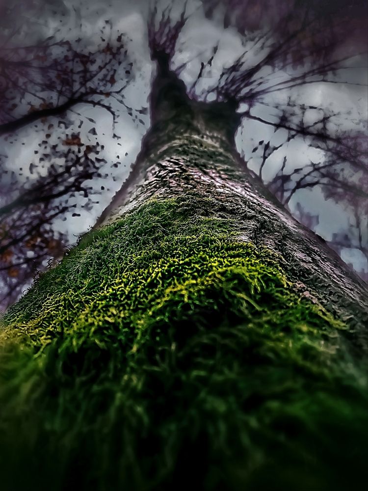 Photograph by Александр Деркач