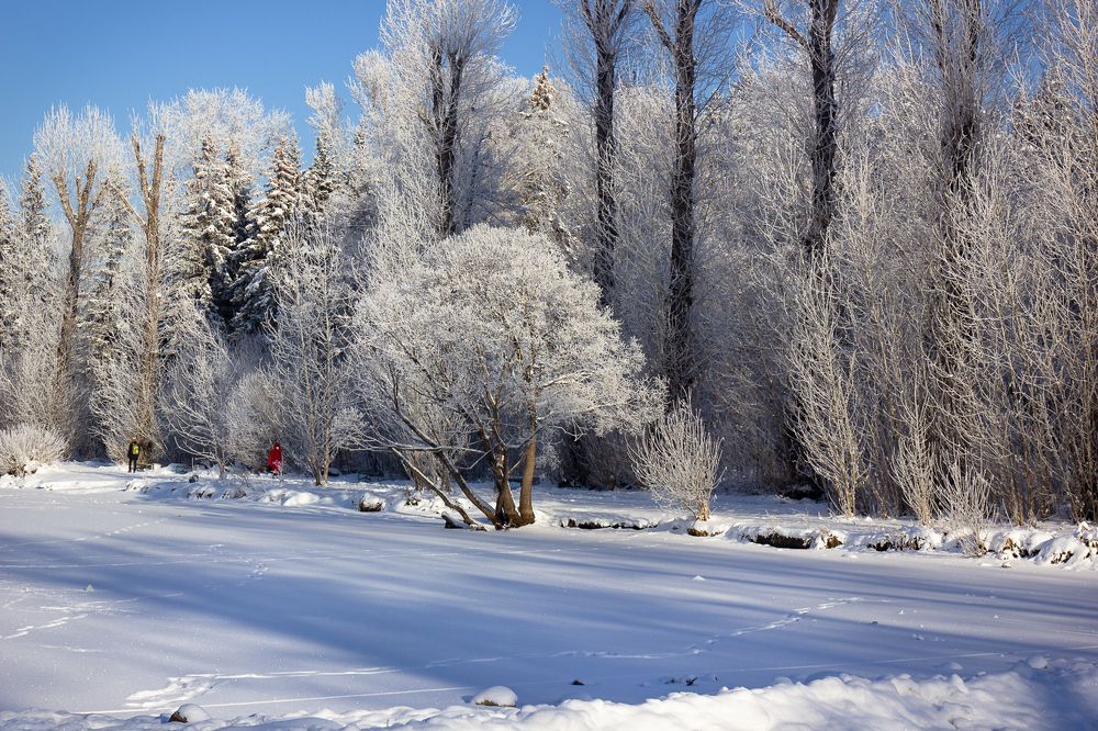 Photograph by Татьяна