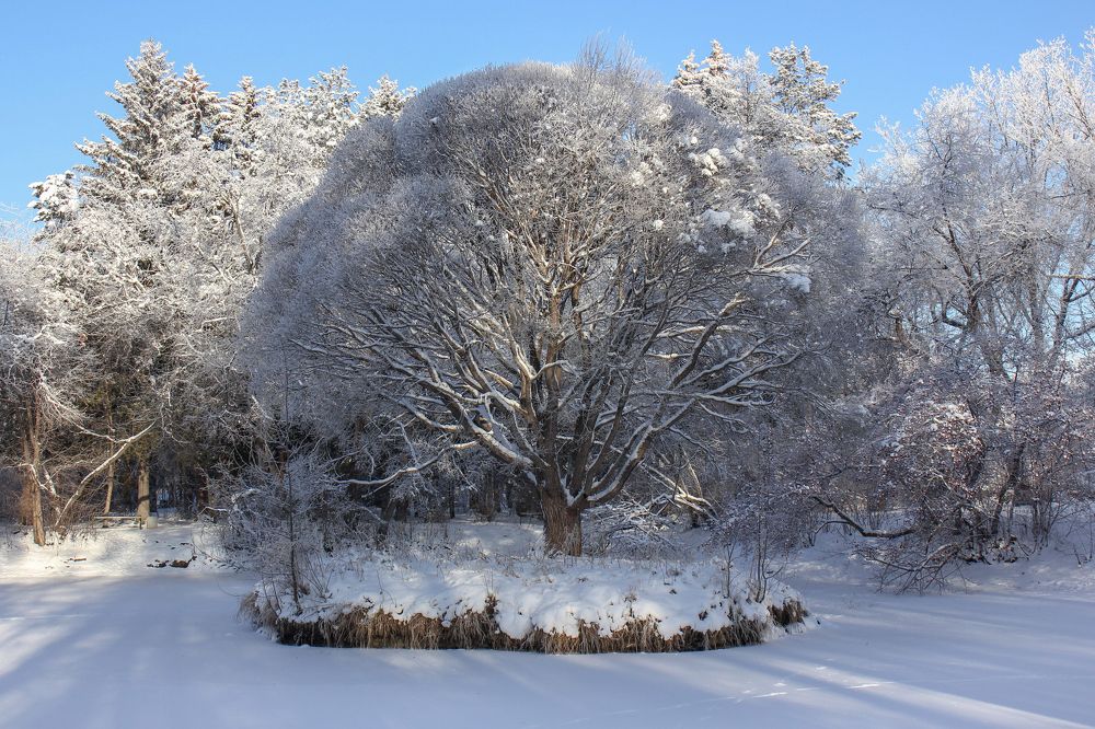 Photograph by Татьяна