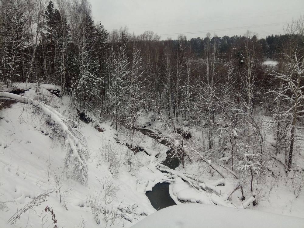 Photograph by Fedorova Valeria
