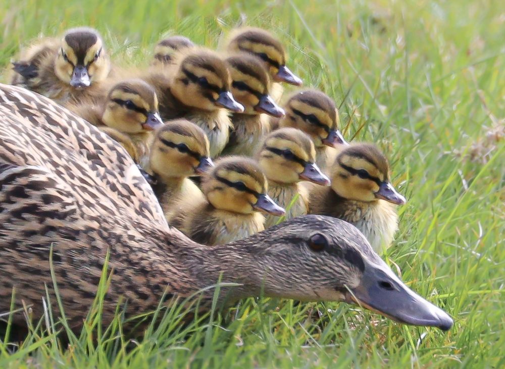 Photograph by Ambi Puvi