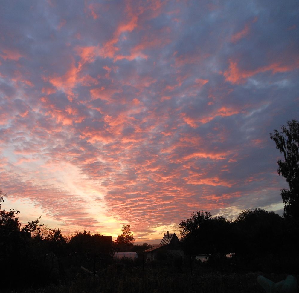 Photograph by Борис Баринов