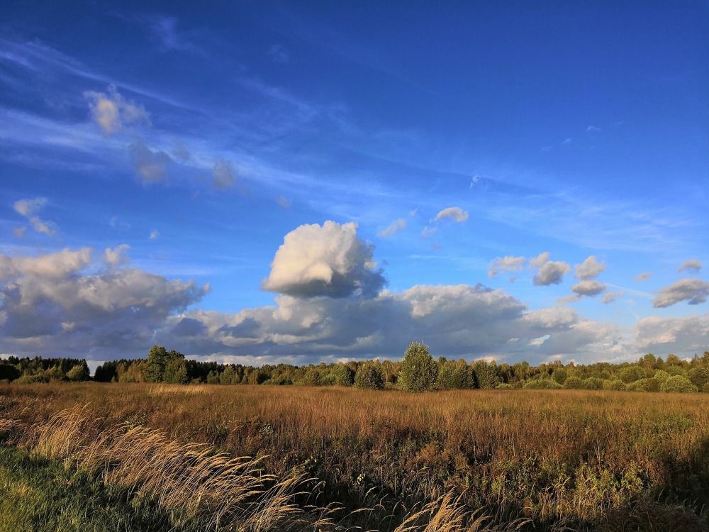 Photograph by Борис Баринов