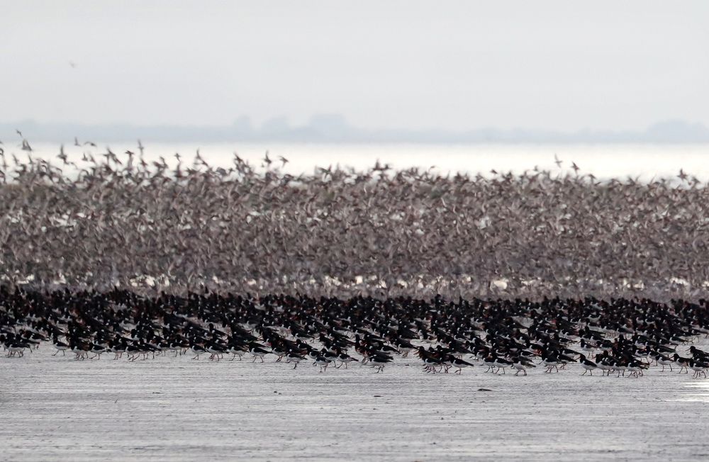 Photograph by Ambi Puvi