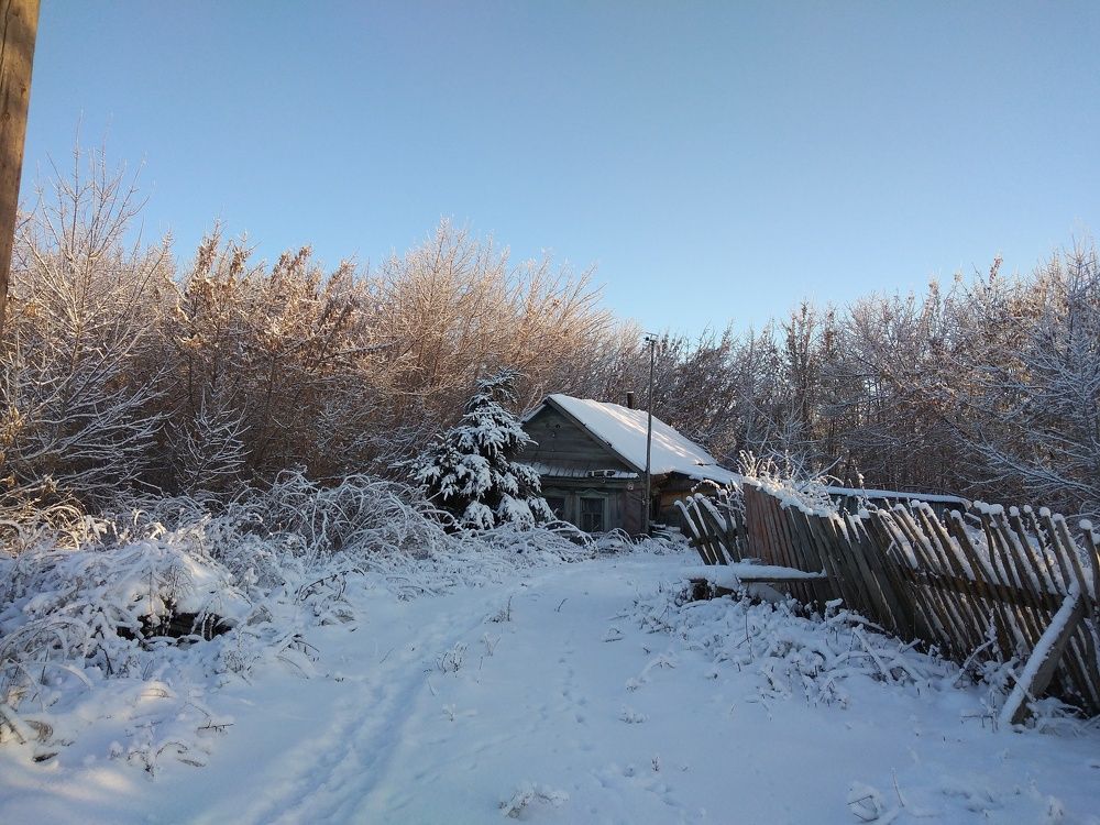 Photo #8481887