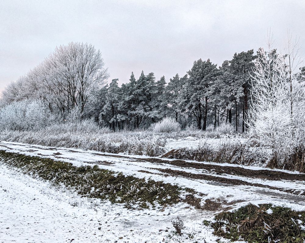 Фотография автора Ксения Шляйхер