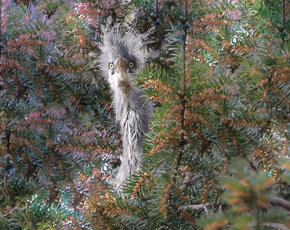 Photograph by Ambi Puvi