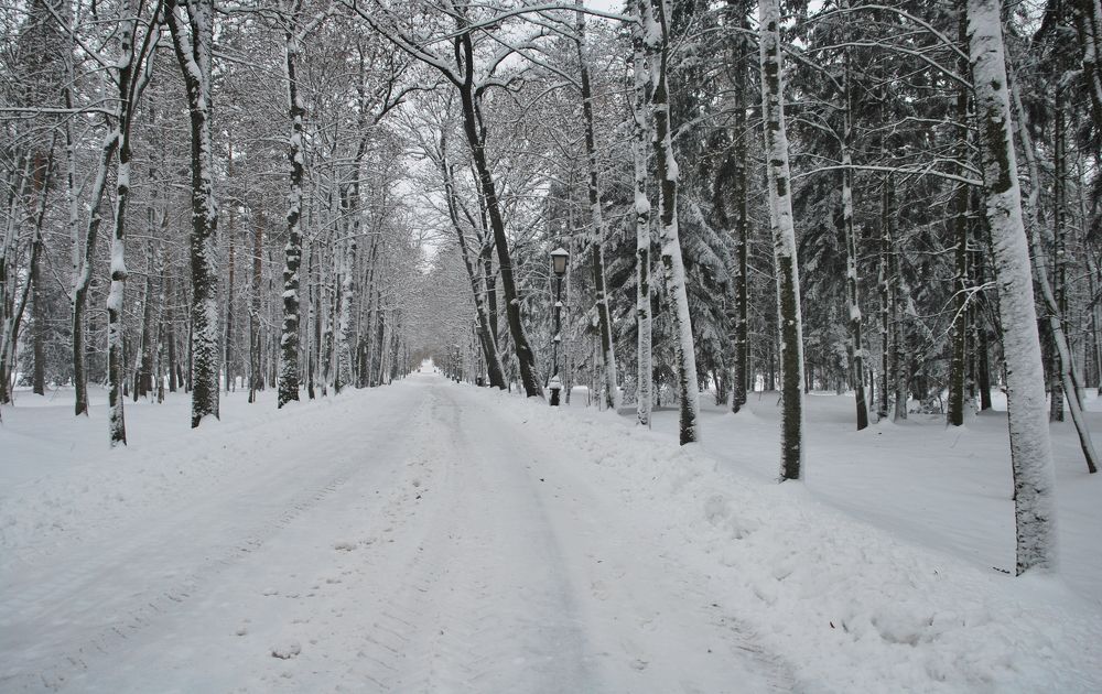Photograph by Андрей Старовойтов