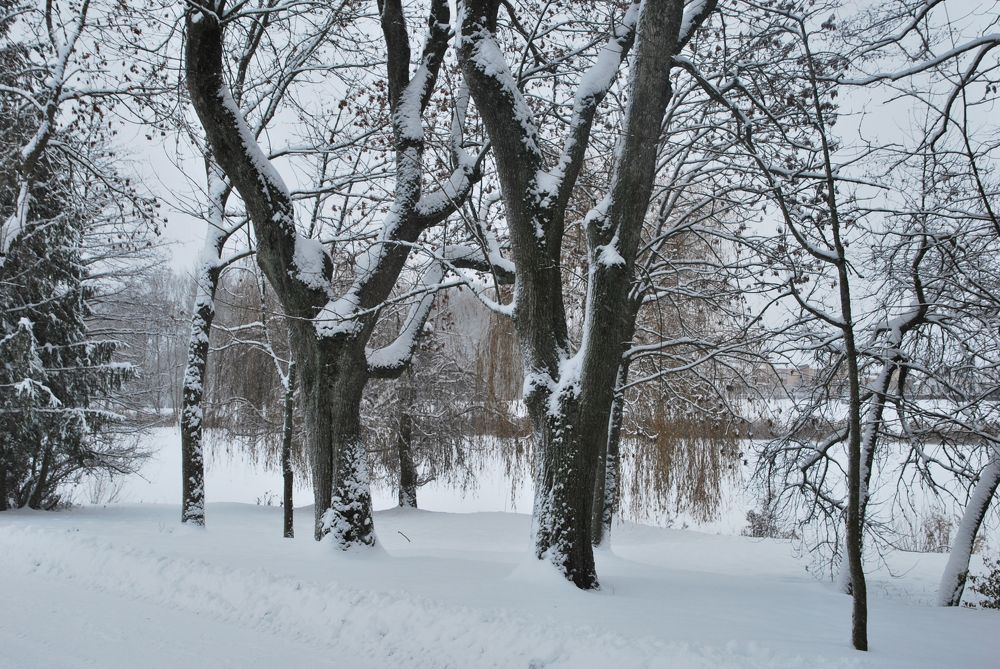 Photograph by Андрей Старовойтов