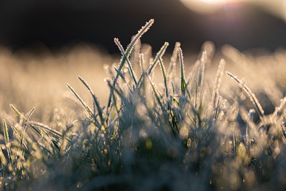 Photograph by Анастасия