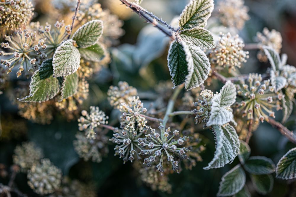 Photograph by Анастасия