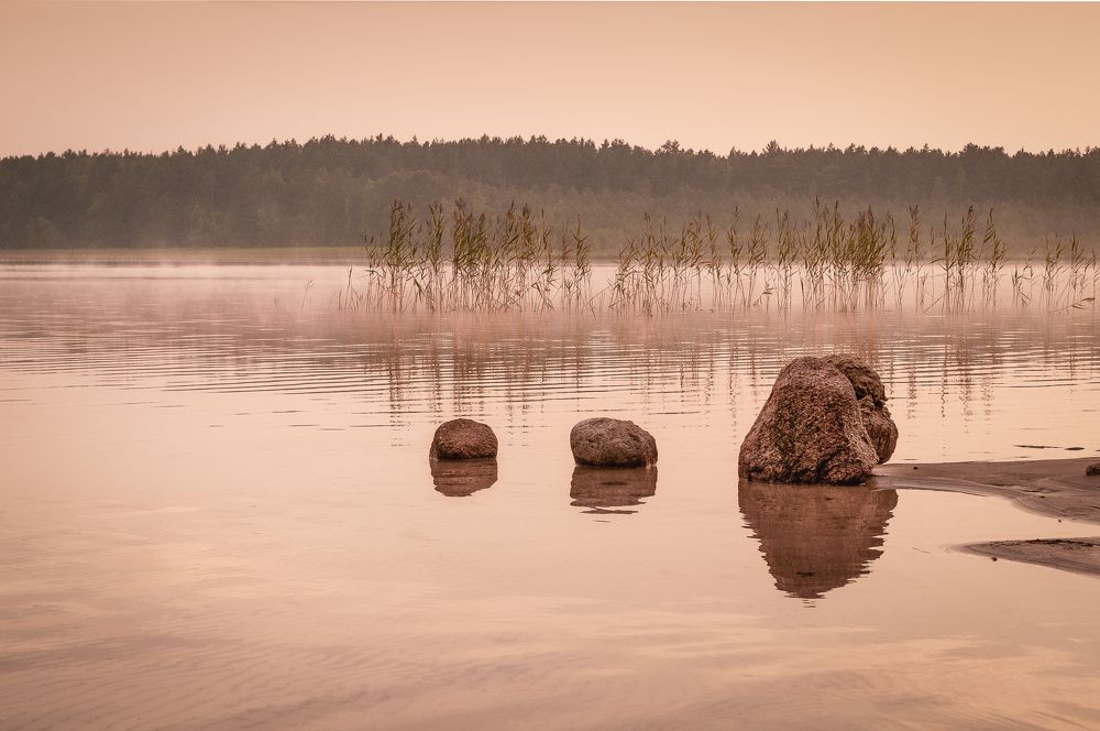 Photograph by Дарья Кончакова