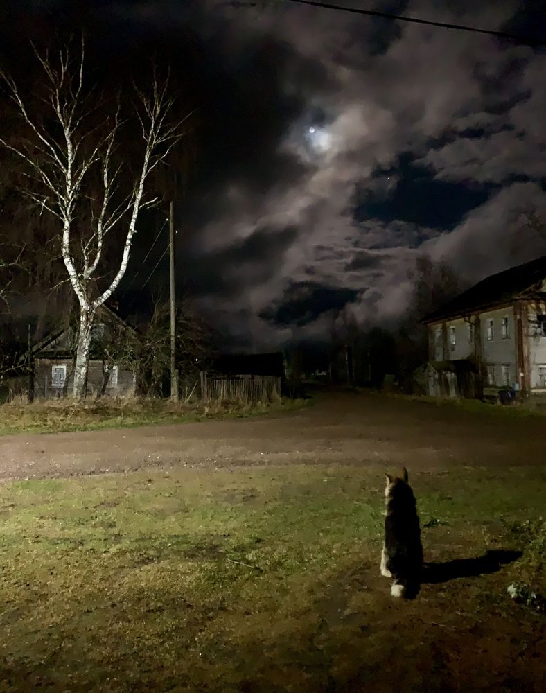 Фотография автора Галина