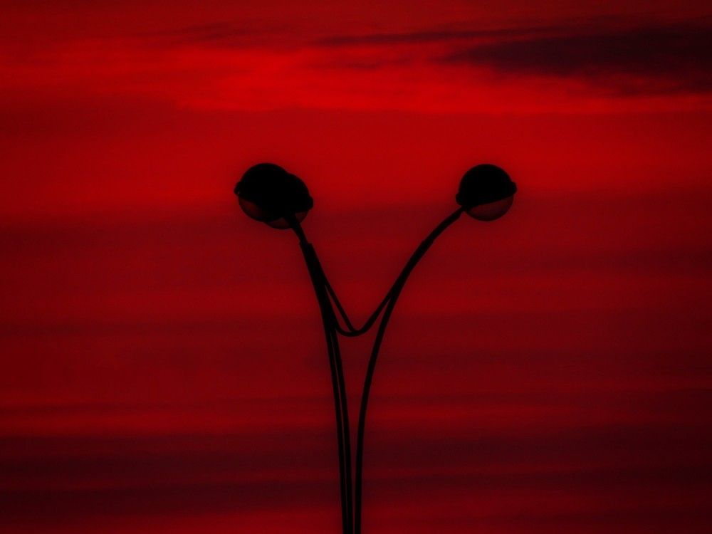 Photograph by Елена Кузнецова