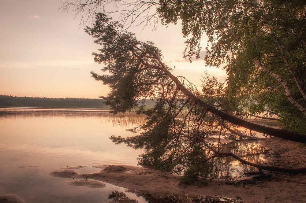 Photograph by Дарья Кончакова