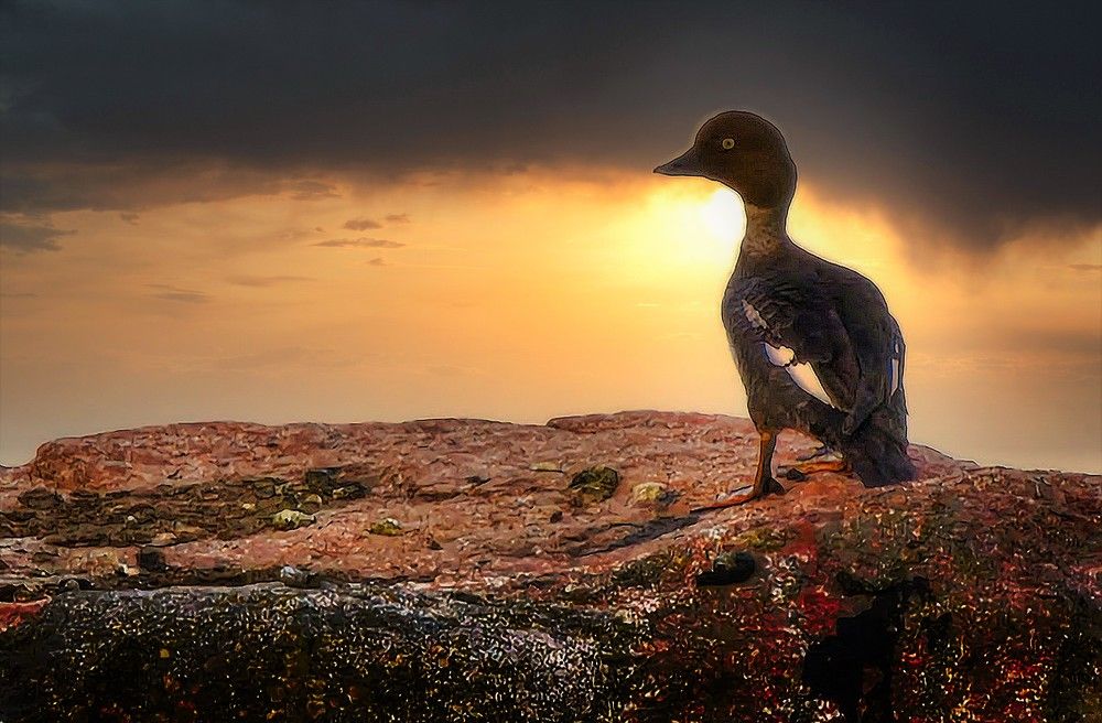 Photograph by Epp Tappel