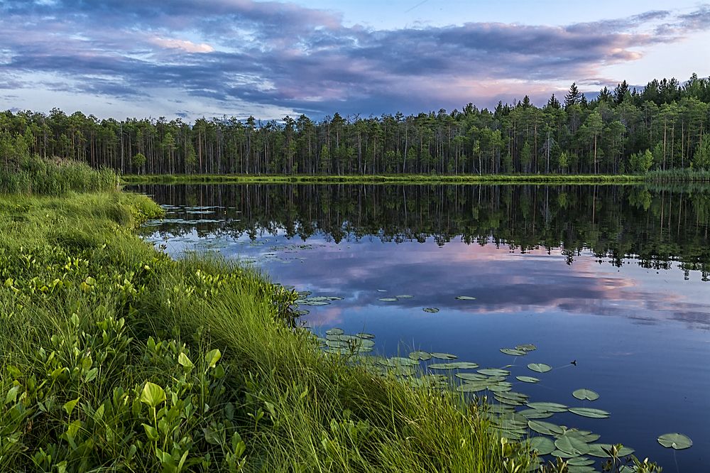 Photograph by Юрий Митенёв