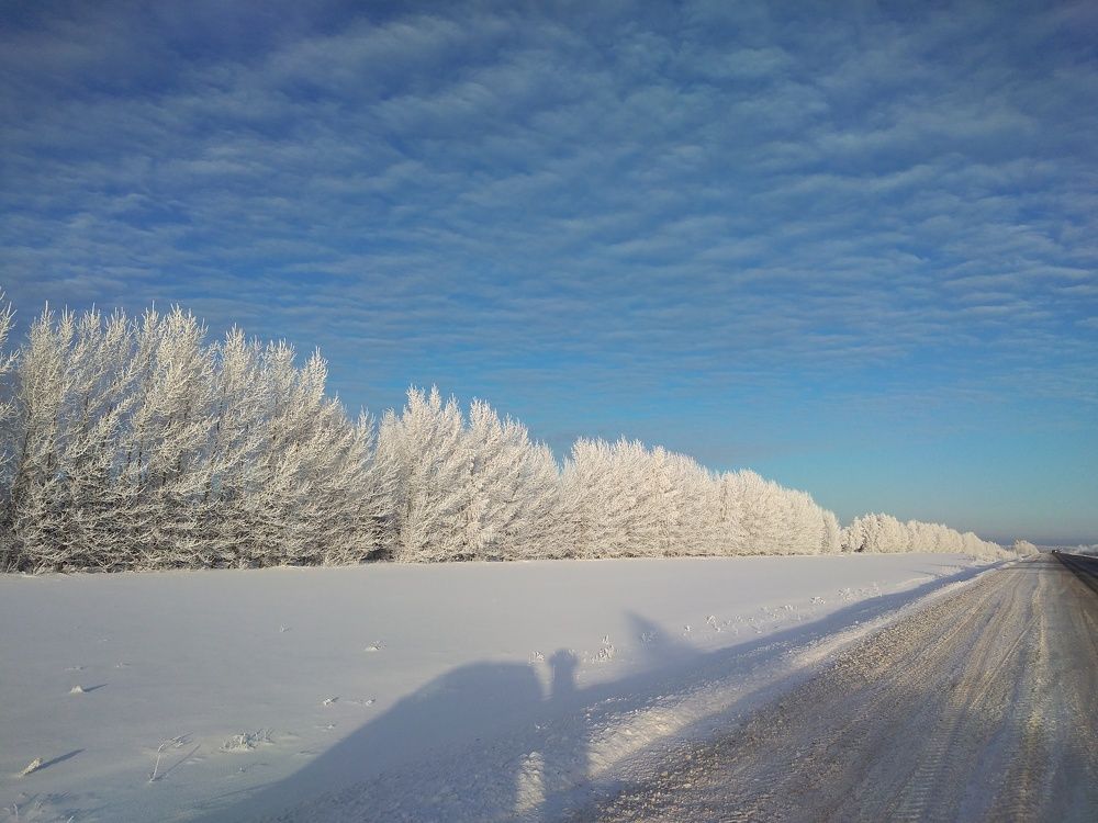 Photo #8482175