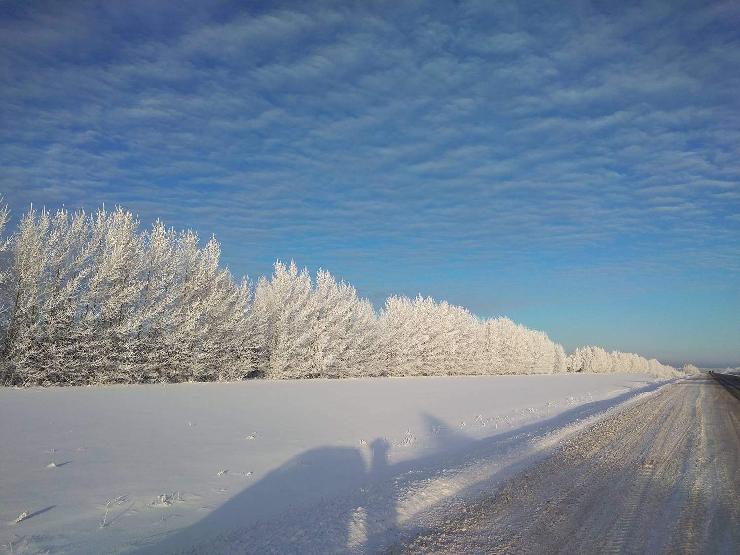 Photo #8482175