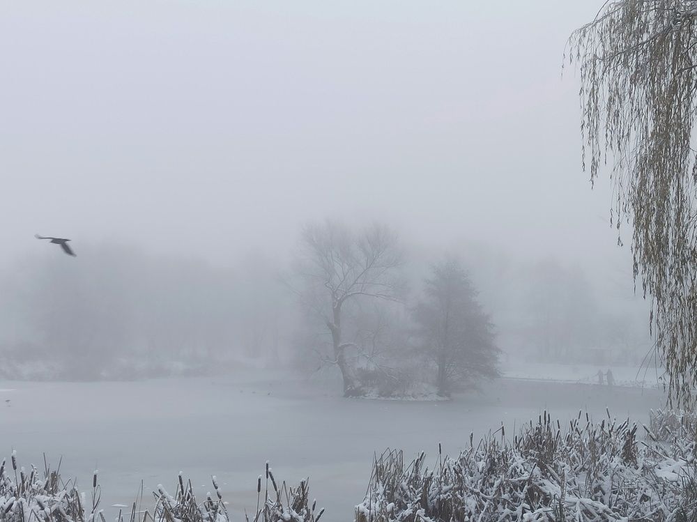 Photograph by Дина Полухина