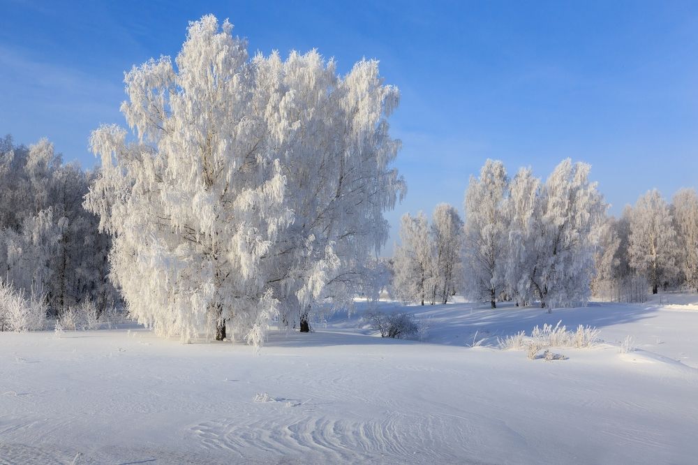 Photograph by виктор ковчин