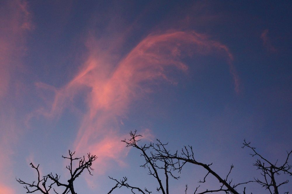 Photograph by Павел Колеснев