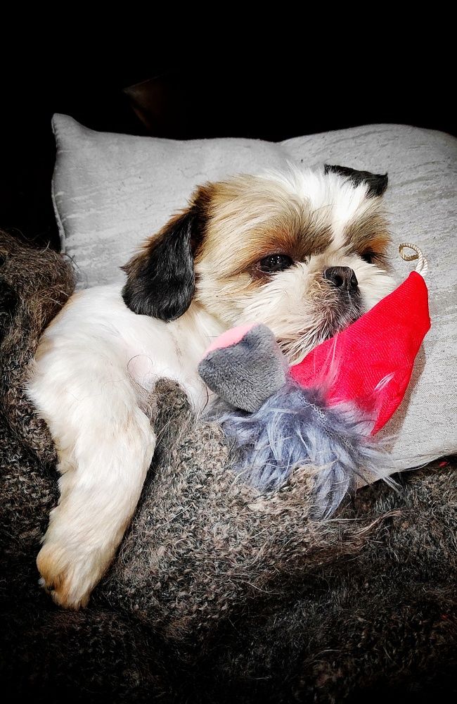 Photograph by Наталья Рау