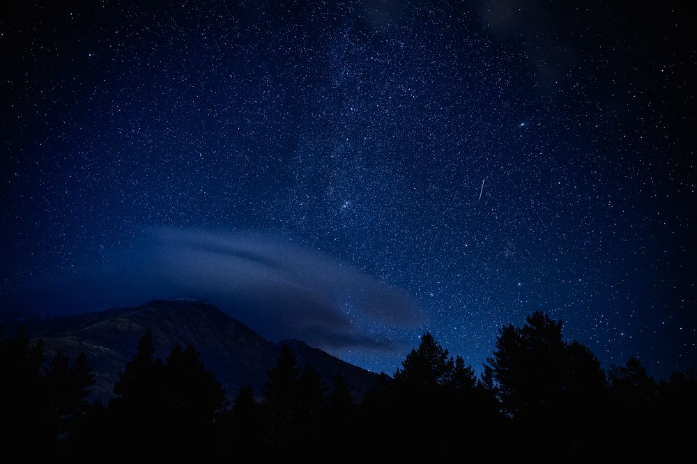 Photograph by Мария Раздорова