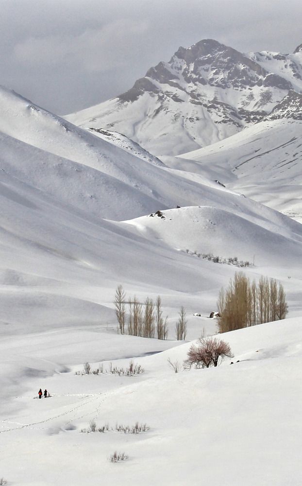 Фотография автора Soheyla Emamian