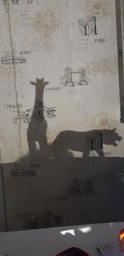 Photograph by Ирина Данилова