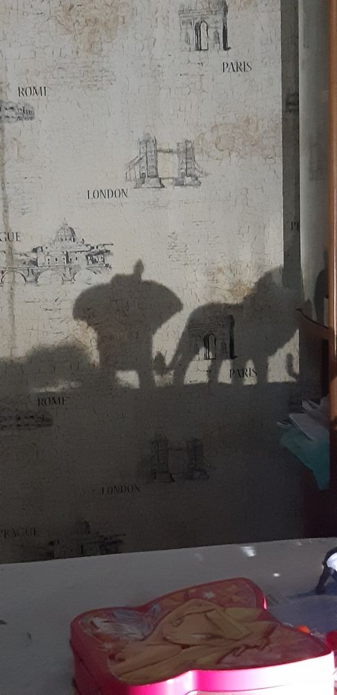 Photograph by Ирина Данилова