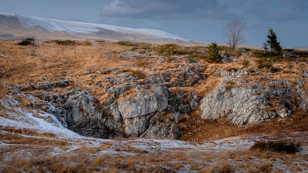 Фотография автора Вадим Коваленко