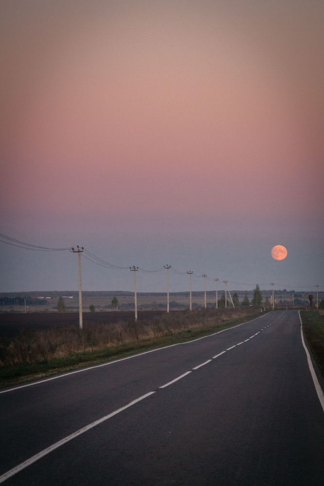 Photograph by Елена