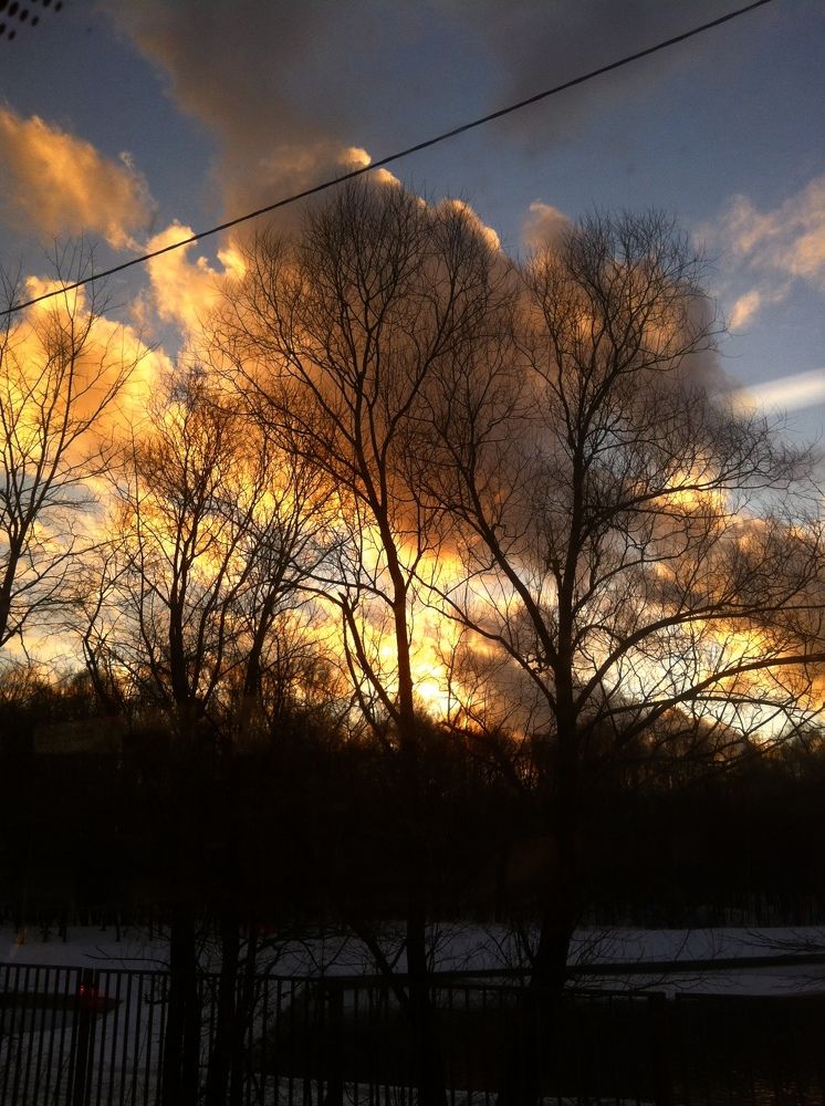 Photograph by Елена Макуха