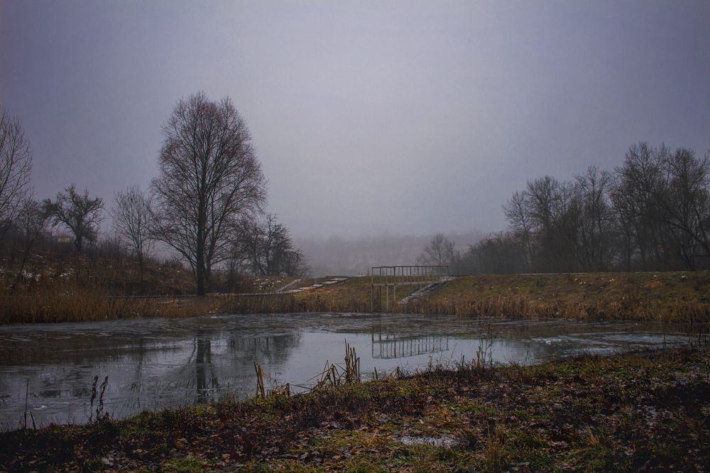 Photograph by Надежда Ржевская