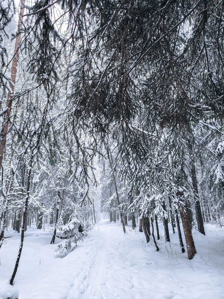 Фотография автора Наталья Королева