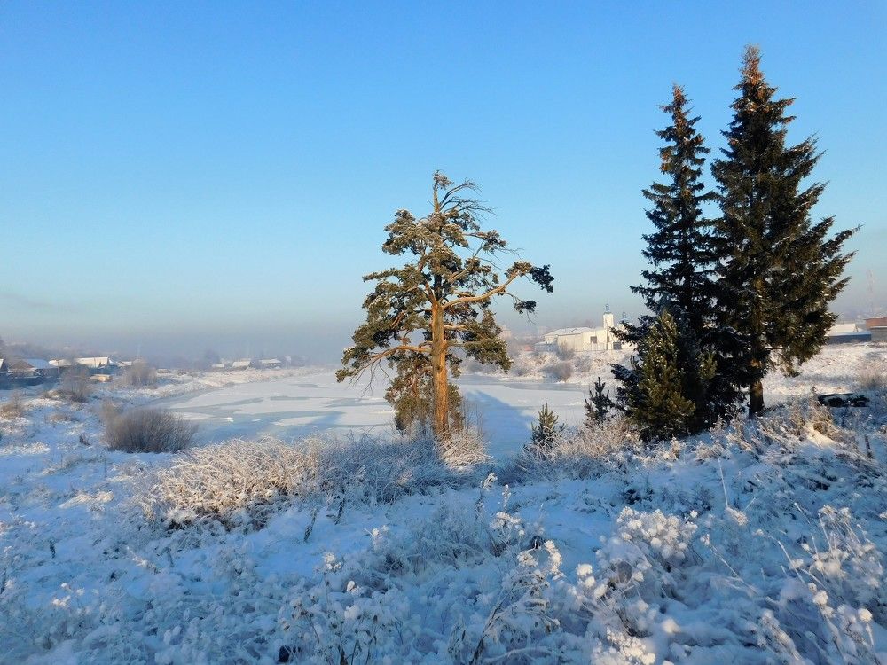 Photograph by Чкареули Светлана