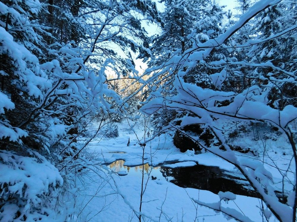 Photograph by Чкареули Светлана