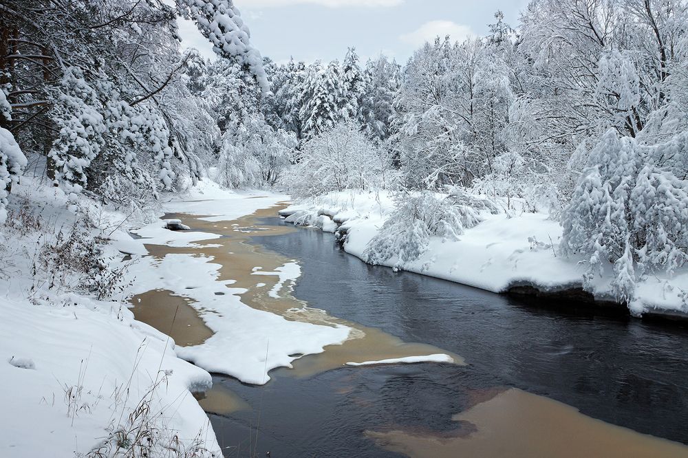 Photograph by Анатолий Максимов