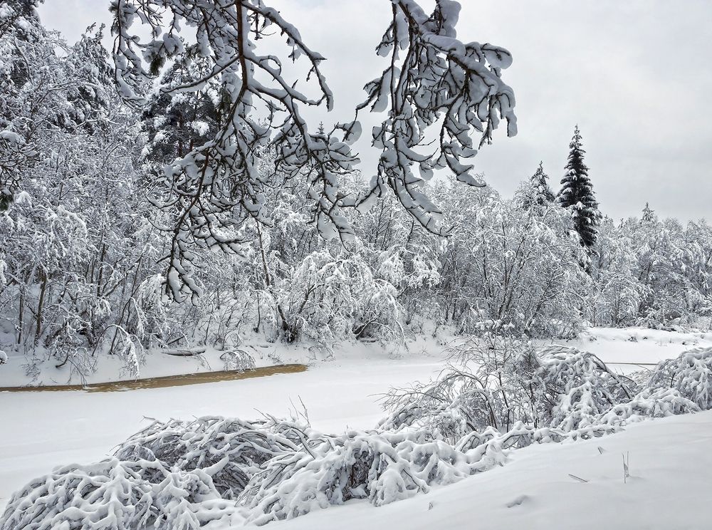 Photograph by Анатолий Максимов