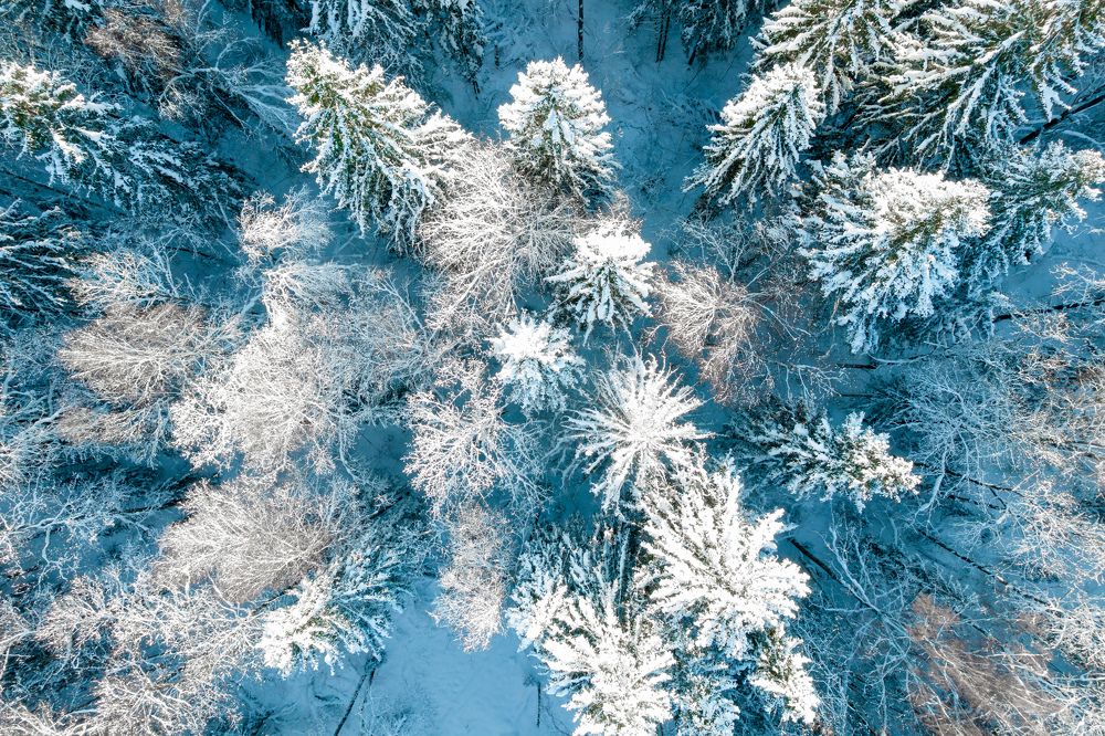 Photograph by Евгений Порсов