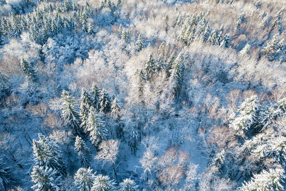 Photograph by Евгений Порсов