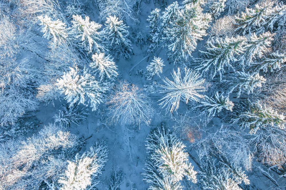 Photograph by Евгений Порсов