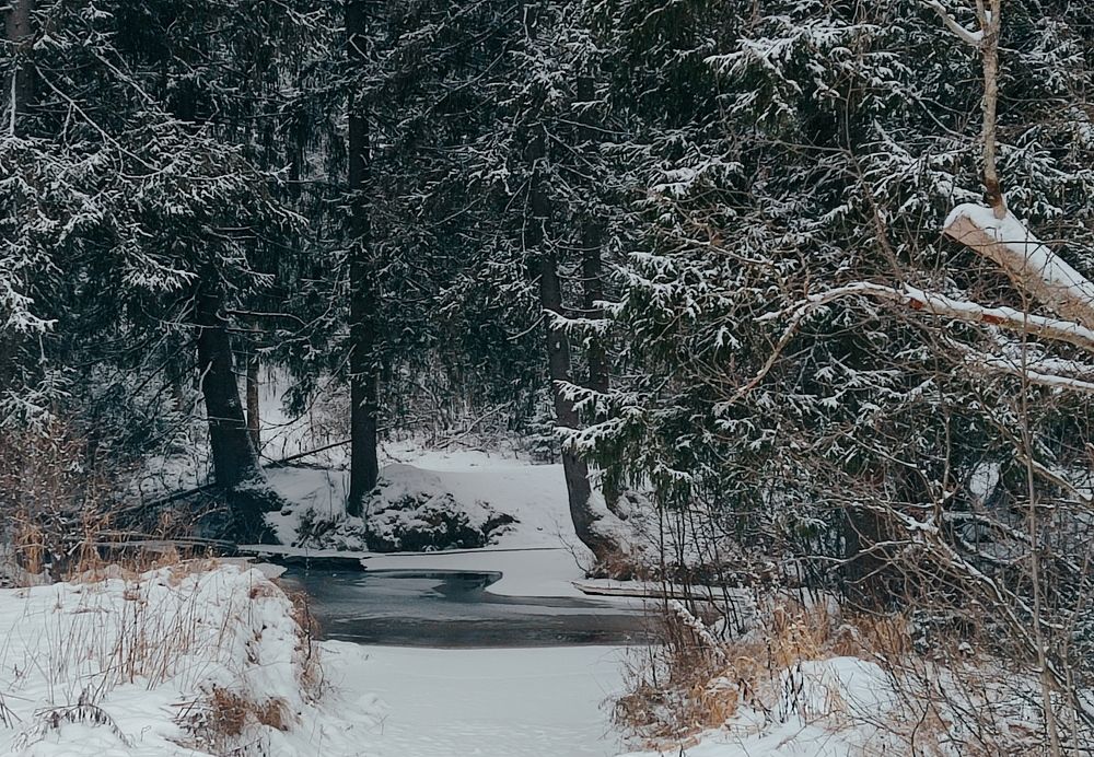 Photograph by Ирина Кузьмина