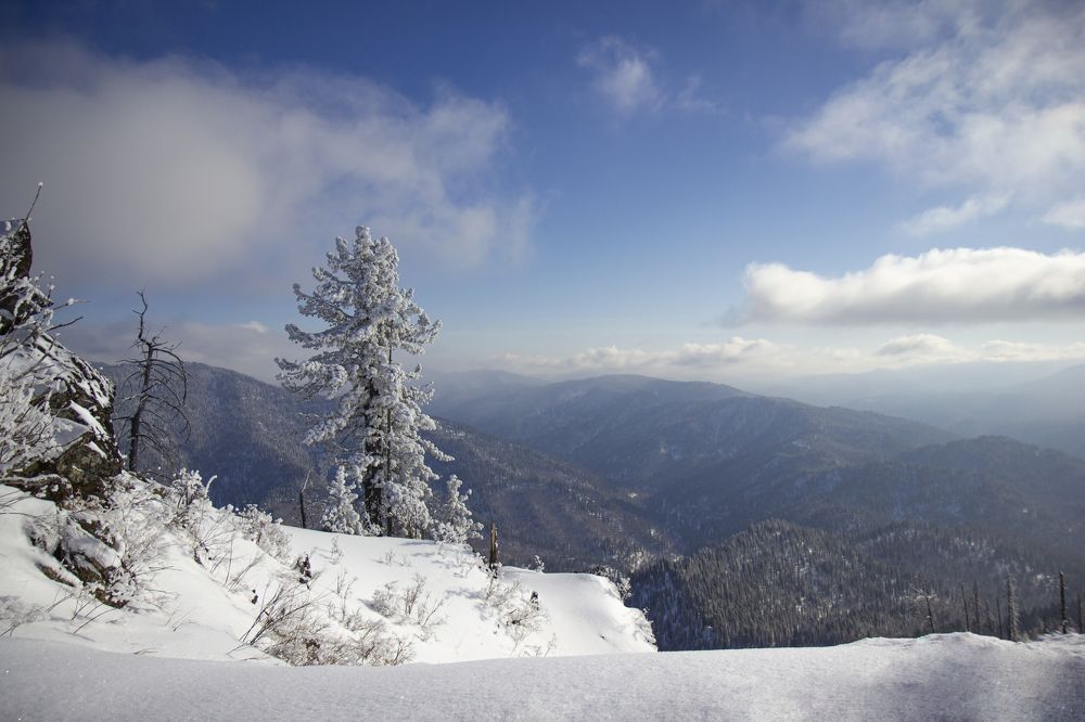 Photograph by Елена Павлова